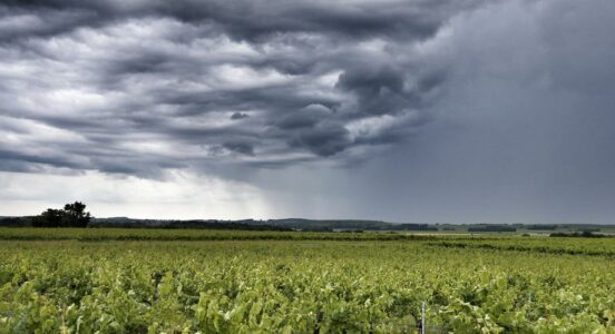 Ensemencement des nuages